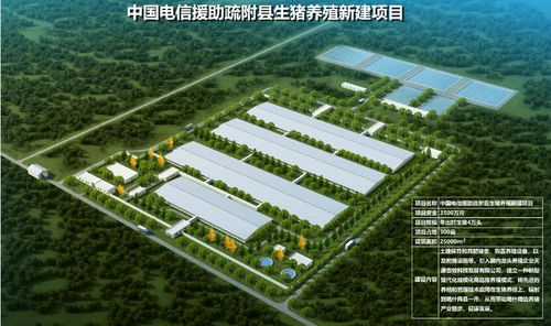 提升生猪养殖技术，助力产业升级