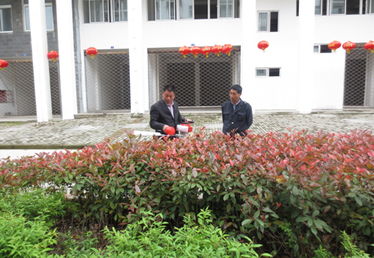绿化养护， 美化家园