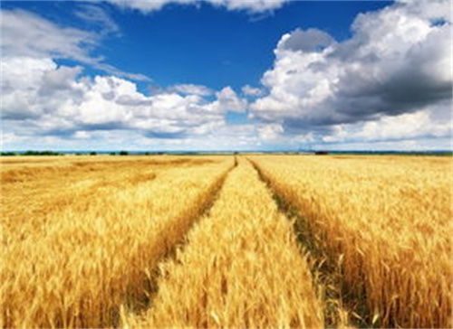 生长速度的冷知识