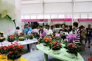 家庭园艺服务店：为忙碌家庭提供一站式园艺解决方案
