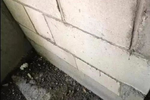 第二步：恒温烘干， 防开裂