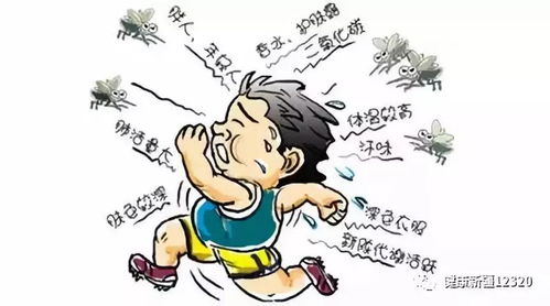 饲养场苍蝇问题：如何有效控制苍蝇滋生
