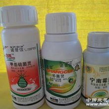 两者差异， 应用不同