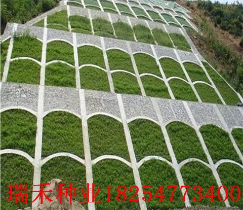 播种时机，学问大着呢