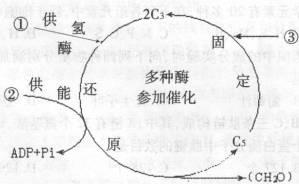 黑麦草锈病的三大症状，你认识几个？