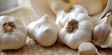 大蒜头泡水前的准备工作