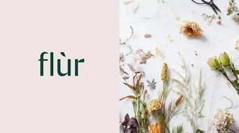 “拯救烂根角堇，秘籍大公开！”