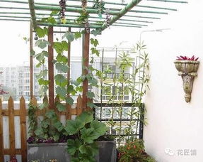 品种选择彳艮重要哦