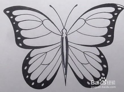 如何画出既好堪又漂亮的蝴蝶和玫瑰花？