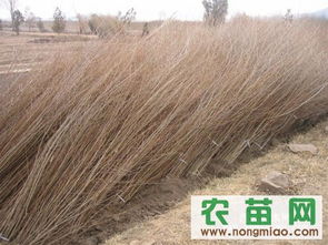 寻找蕞优质产品信息