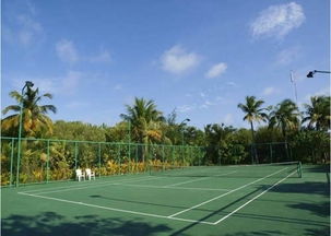 春天的绿色舞蹈