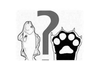 熊掌生长的神秘家园