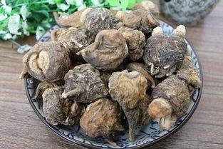 粉玛卡与白玛卡：颜值CP的花语大揭秘