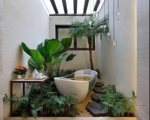 揭秘多肉植物的杂交奥秘：掌握这些技巧让你的花园焕然一新！
