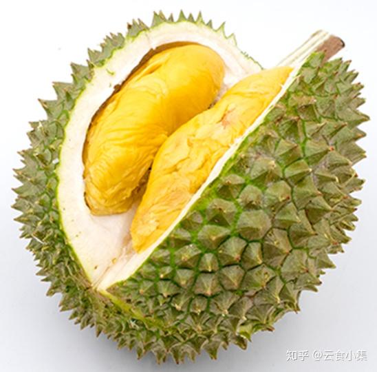 榴莲怎么种？芒果怎么种植