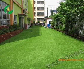 剪股颖：绿色地毯， 耐性好