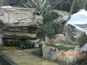 精准报价：专业设计师的指引