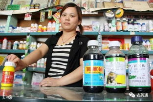 拌土豆种子的药剂选择