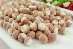 芡实：刺太多， 担心刺着，试试连藕