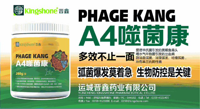 什么是二类新兽药、新兽药、兽药新制剂、兽用新生物制品，它们之间如何进行分类？