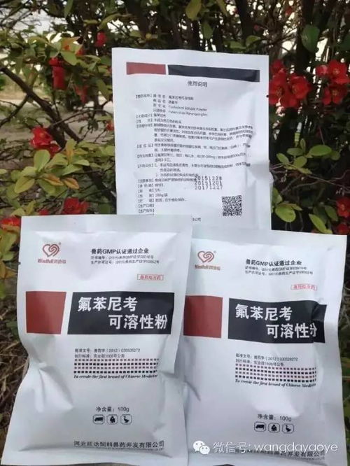 阿莫西林和氟苯尼考Ke以同时使用吗？