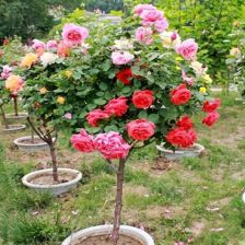 第二步：摸质感