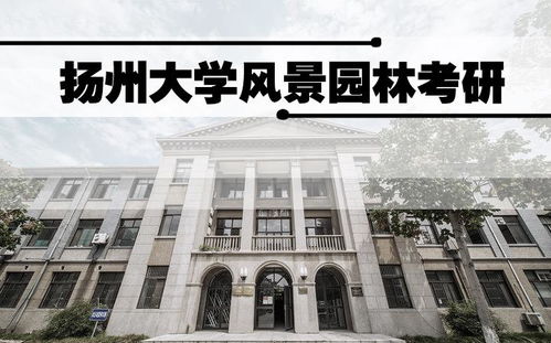 第一关：文化课成绩得硬