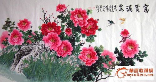 牡丹绽放的美丽象征中，传统意义与现代象征有何不同