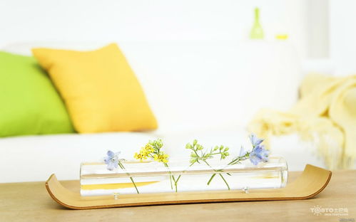 花艺：植物艺术与家居装饰的完美融合