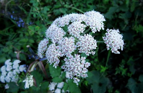 云南气候影响播种