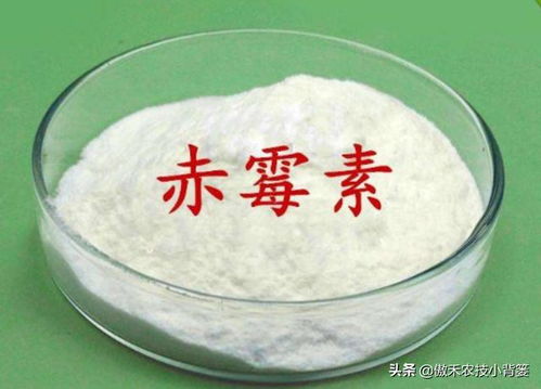 赤霉素920：神奇的生长激素