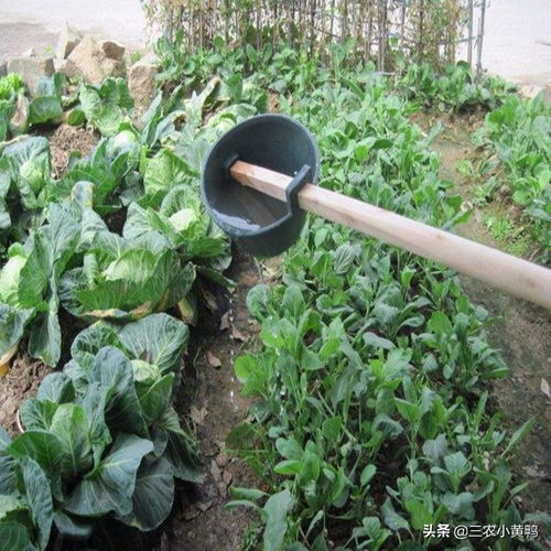 不同的菜，不同的等