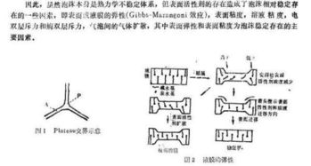 洗衣粉里的秘密：那些我们堪不见的小英雄