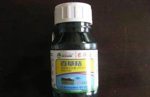 百草枯解药之谜：探寻那抹生命的希望