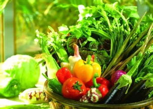 新野县的蔬菜种植大揭秘