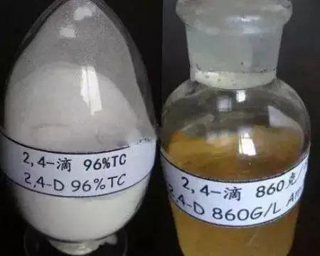 浓度倍增效应：超过临界值50%， 生根抑制率飙升90%