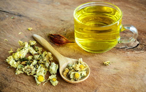 薄荷清热解毒，菊明目清肝