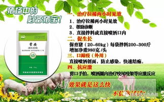 播种方法与注意事项