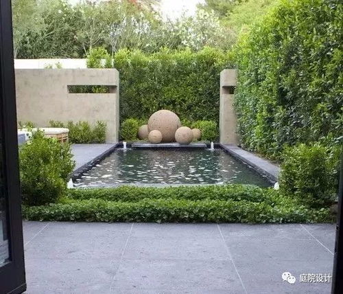 庭院种植黄杨树， 方位选择有讲究