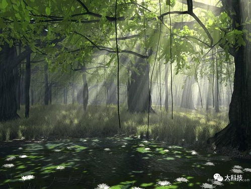 树木的巨人与绿色世界的奥秘