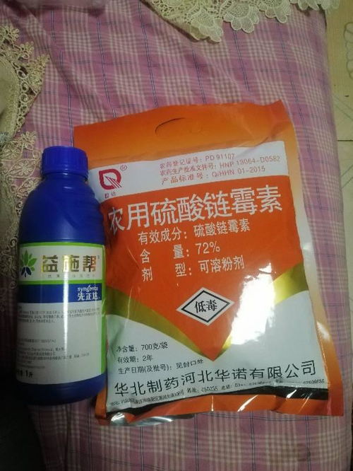它们俩一混合，会发生啥神奇的事情呢？