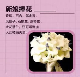 毕业季送花指南：选什么花表达感激之情