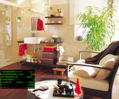 仙人掌注意事项