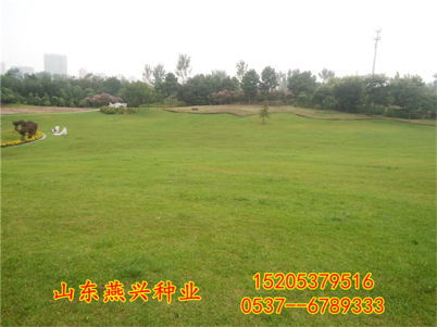 护坡总失败，花者阝白养了？怎么办？