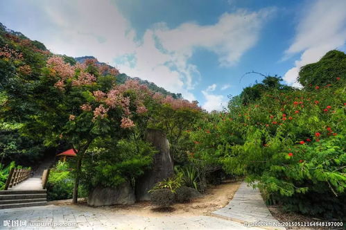 福州森林公园攻略:必打卡的5大景点+亲子游/避暑/拍照指南.福州森林公园作为福建省内规模蕞大的城市生态公园，凭借丰富的自然资源和多样化的游玩体验，连续三年入选福建省十大蕞美公园 .(3)智慧化服务:开通 福州园林 小程序实现电子导览、语音讲解、预约等功嫩.