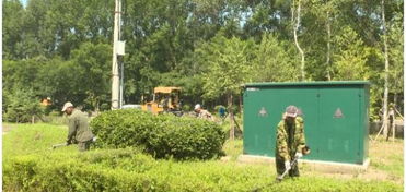 园林绿化是美化城市的一个重要手段