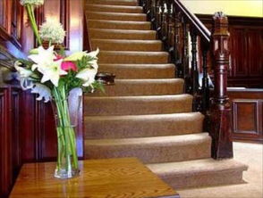 三、 种植技巧大公开