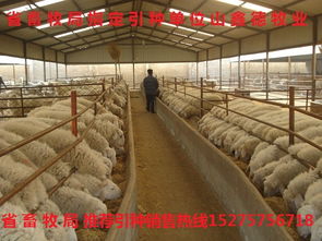 “以养殖规模和密度为依据，计算养殖场用地面积