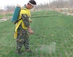 农田除草剂流入鱼塘，咋整？水质平安咋保？