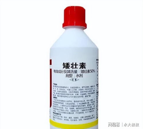 花卉在施用养花专用除草剂的同时可以使用植物调节剂吗？